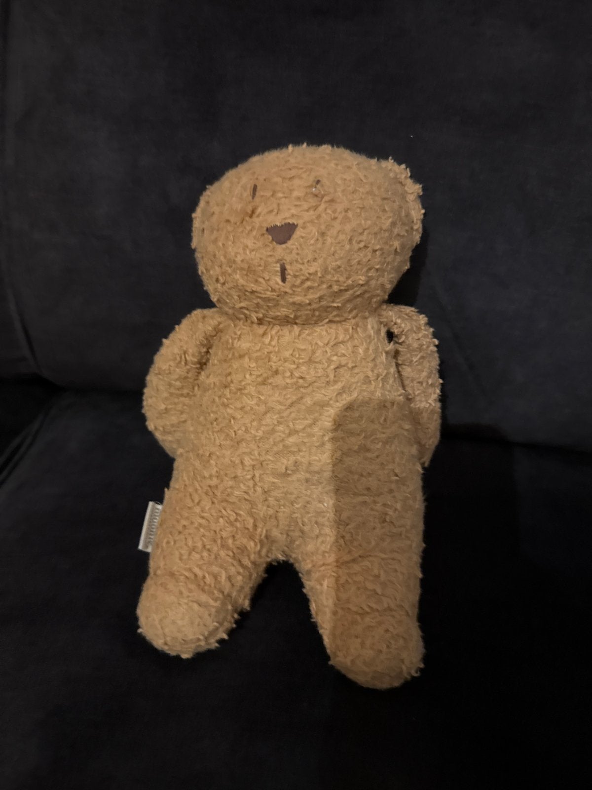 Moonie Knuffelbeer met Licht en Geluid, Ophalen of Verzenden, Zo goed als nieuw, Overige typen, Met licht