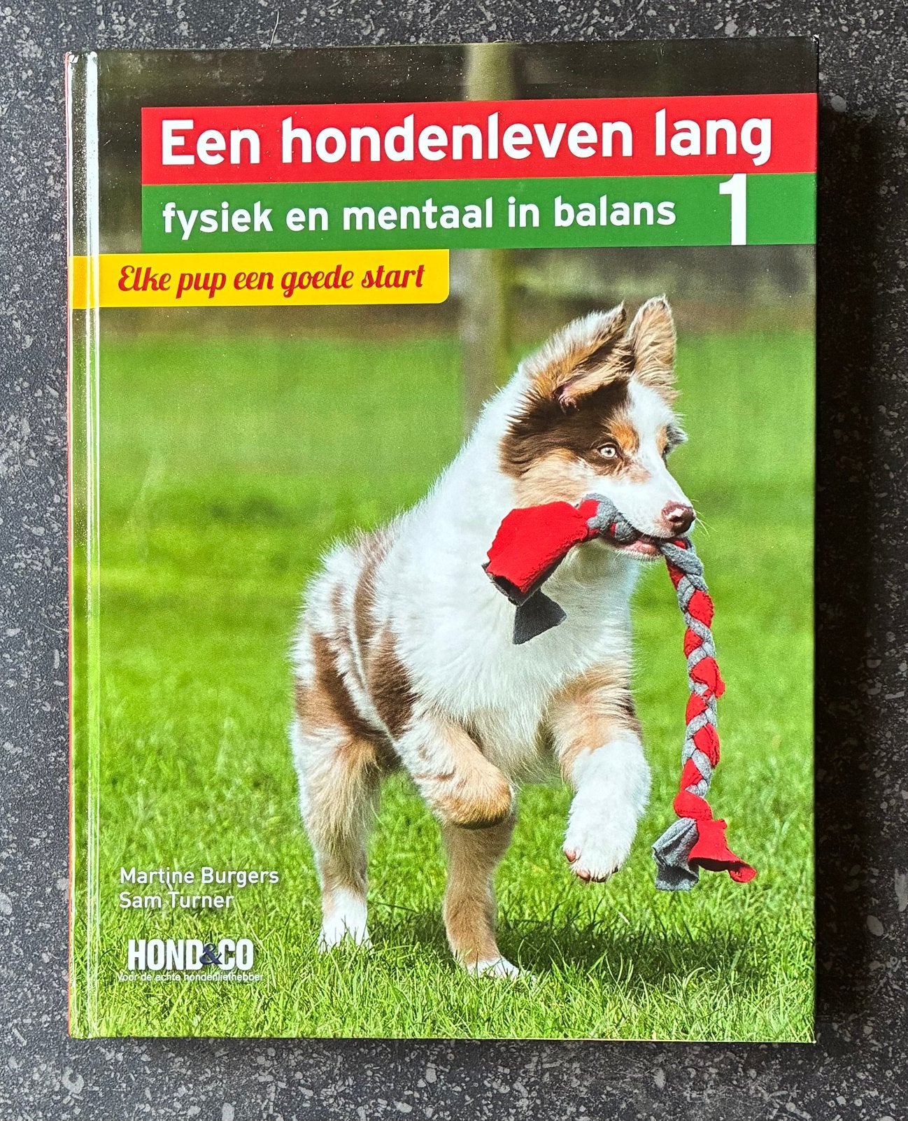 Een hondenleven lang, Boeken, Dieren en Huisdieren, Ophalen, Honden, Zo goed als nieuw, Martine Burgers; Sam Turner