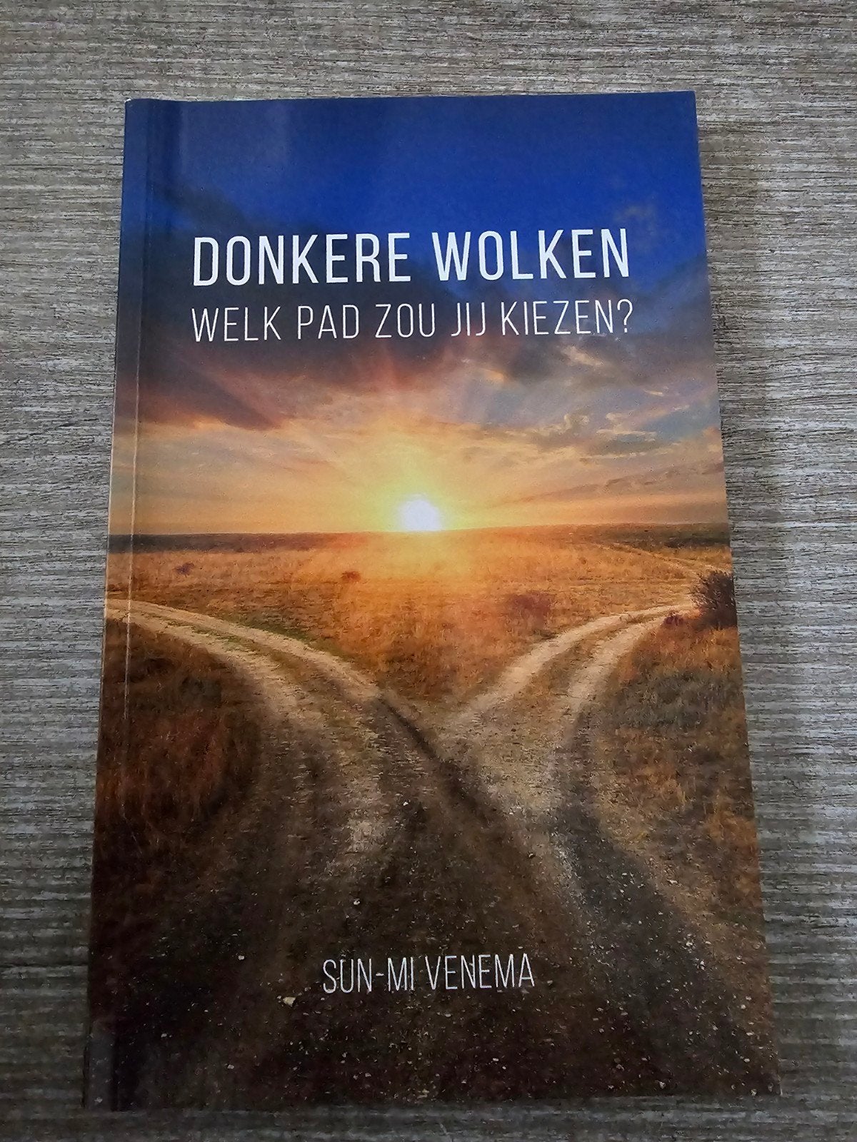 Donkere Wolken: Welk Pad Zou Jij Kiezen? - Sun-Mi Venema, Ophalen of Verzenden, Gelezen, Sun-Mi Venema