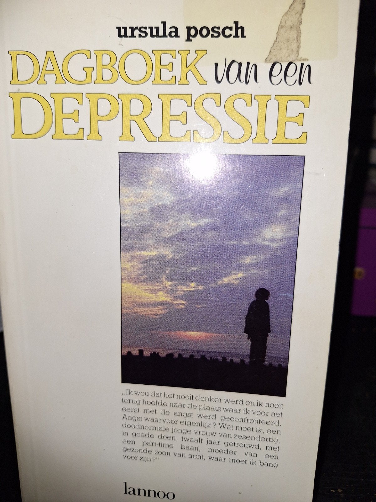 Depressie, Ophalen of Verzenden, Zo goed als nieuw