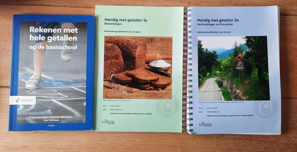 3 Pabo studieboek Rekenen met getallen / handig met getallen, Boeken, Ophalen of Verzenden, Beta, Zo goed als nieuw, HBO