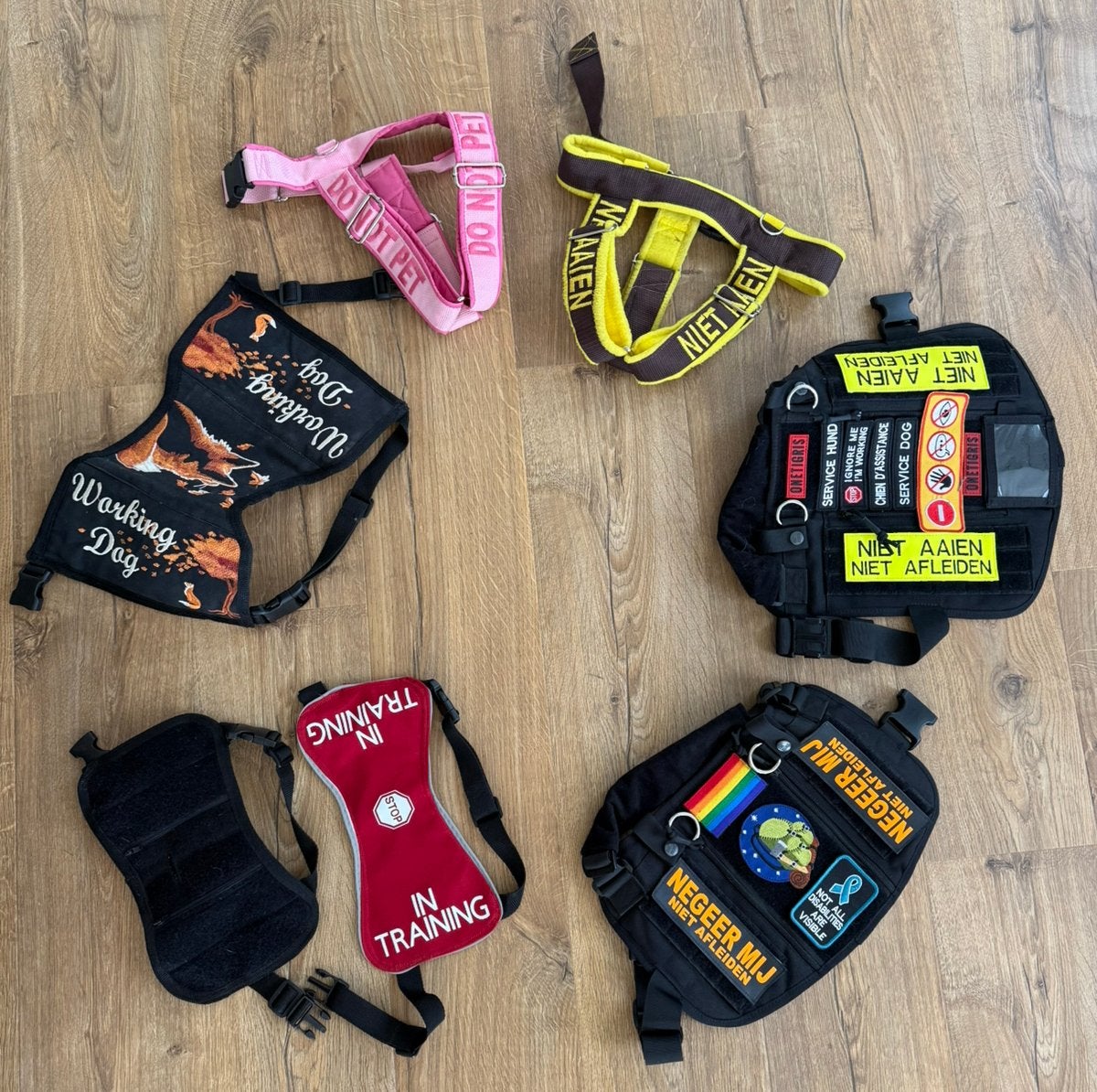 Verschillende (hulp)honden items, Ophalen of Verzenden, Gebruikt