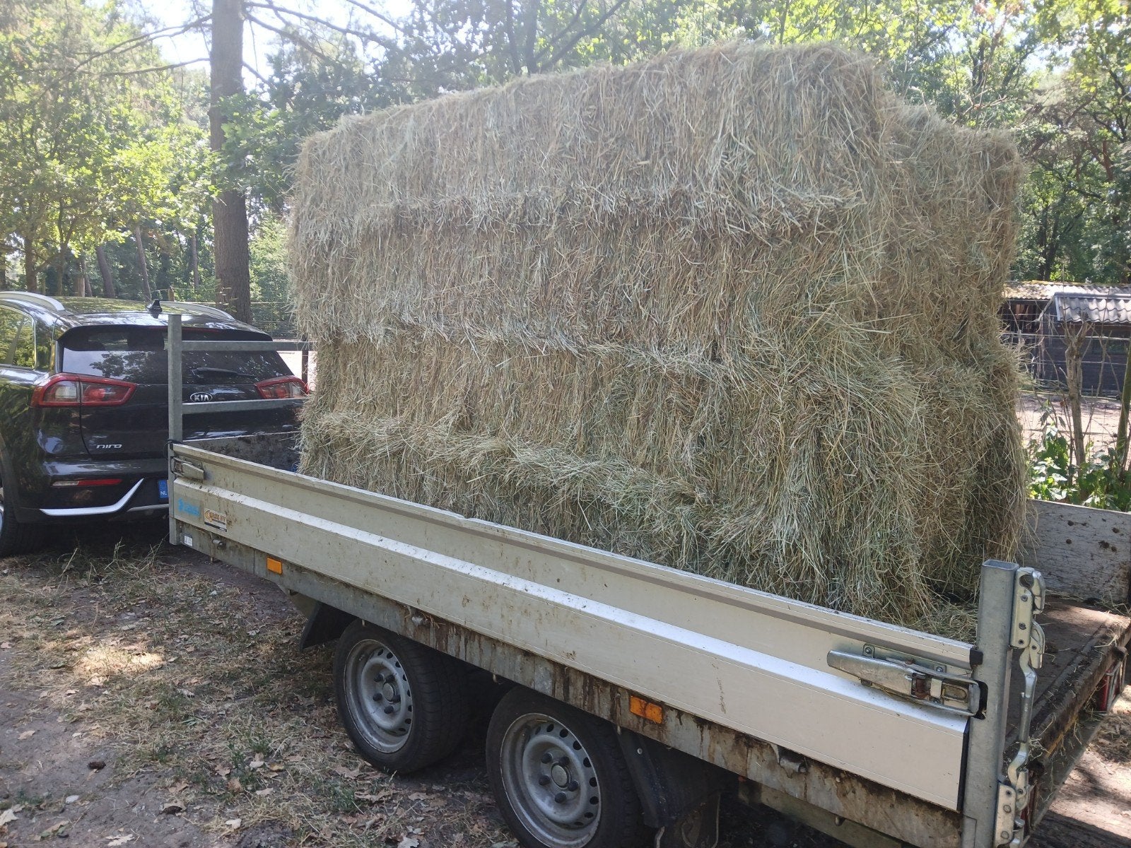 Gevraagd goed paardenhooi ongeseald, Dieren en Toebehoren, Dierenvoeding, Ophalen