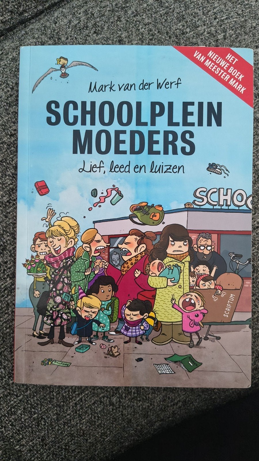 Schoolpleinmoeders, Ophalen of Verzenden, Zo goed als nieuw, Meester mark, Fictie algemeen