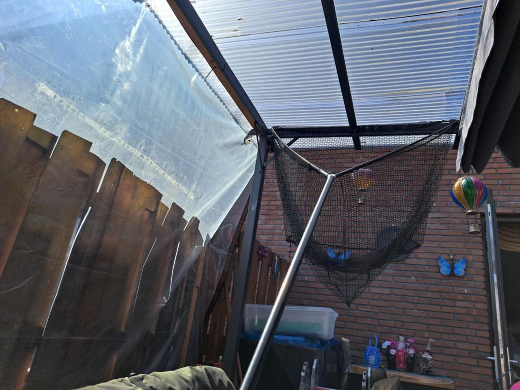 Schepnet voor de beginnende karper vissers, Ophalen of Verzenden, Overige typen