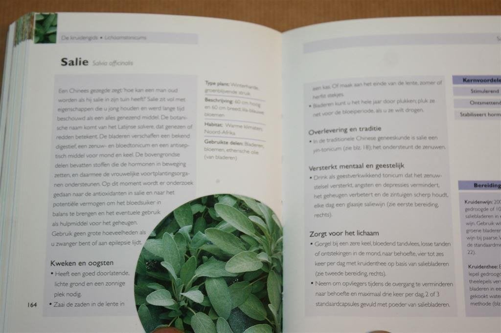 De Kruidengids - Complete gids met alle kruiden - Bremness, Boeken, Ophalen of Verzenden, Gelezen, Kruiden en Alternatief