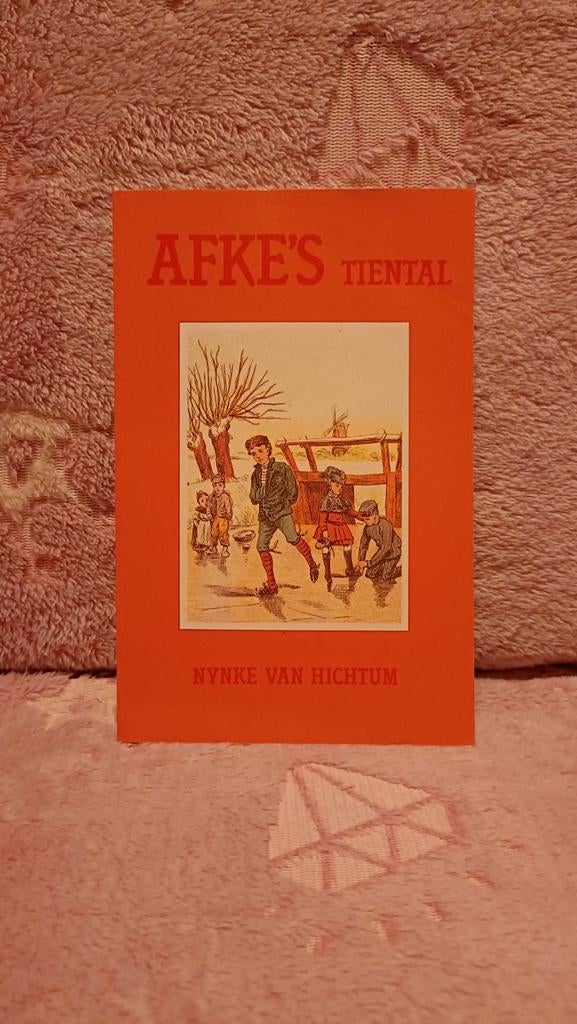 Hichtum, Nynke van - Afke's tiental, Ophalen of Verzenden, Gelezen, Nienke van Hichtum, Fictie