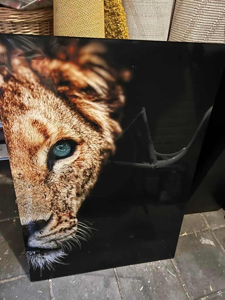 Acryl schilderij/ wandpaneel leeuw/cheeta, Ophalen, Zo goed als nieuw, Minder dan 50 cm, Schilderij