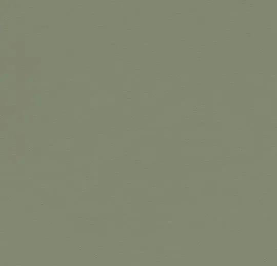 Forbo Furniture Linoleum (verschillende kleuren), I am Recycled, Overige typen, Nieuw, Info@iamrecycled.nl