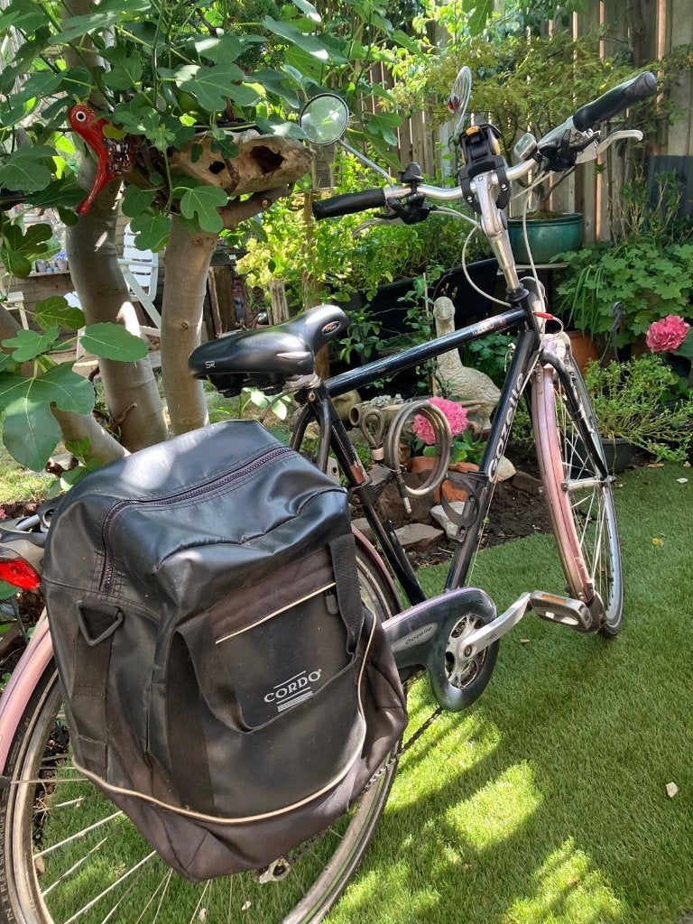 2 fietsen dames Giant heren Gazelle, Fietsen en Brommers, Fietsen | Dames | Damesfietsen, Ophalen, Velgrem, Versnellingen, Gazelle