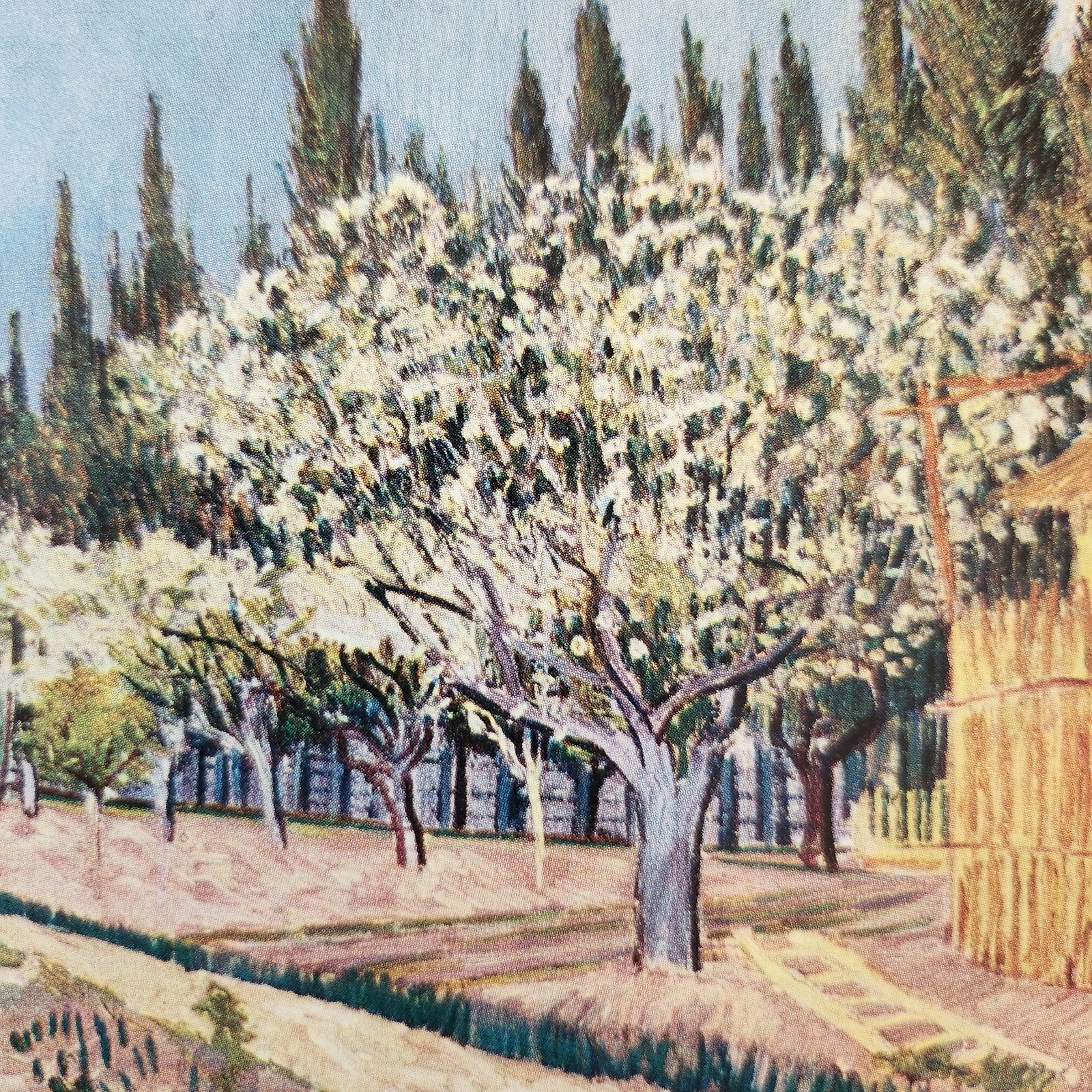 Kunstkaart Vincent van Gogh - Bloeiende boomgaard, 1888, Verzenden, 1980 tot heden, Ongelopen, Cultuur en Media