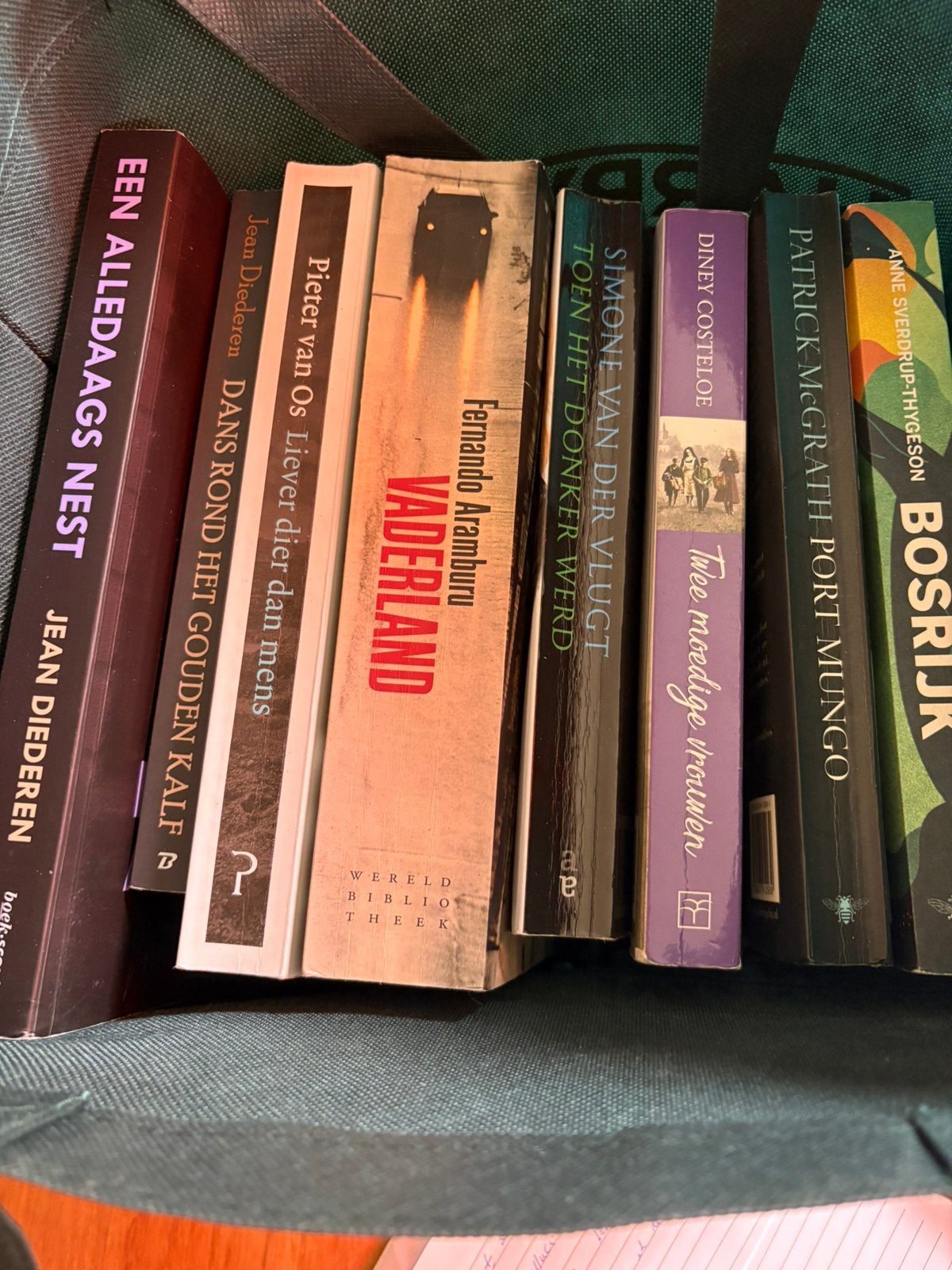 Diverse boeken, David Balluci, Tom Rob Smith, Nicci French, Boeken, Ophalen, Gelezen