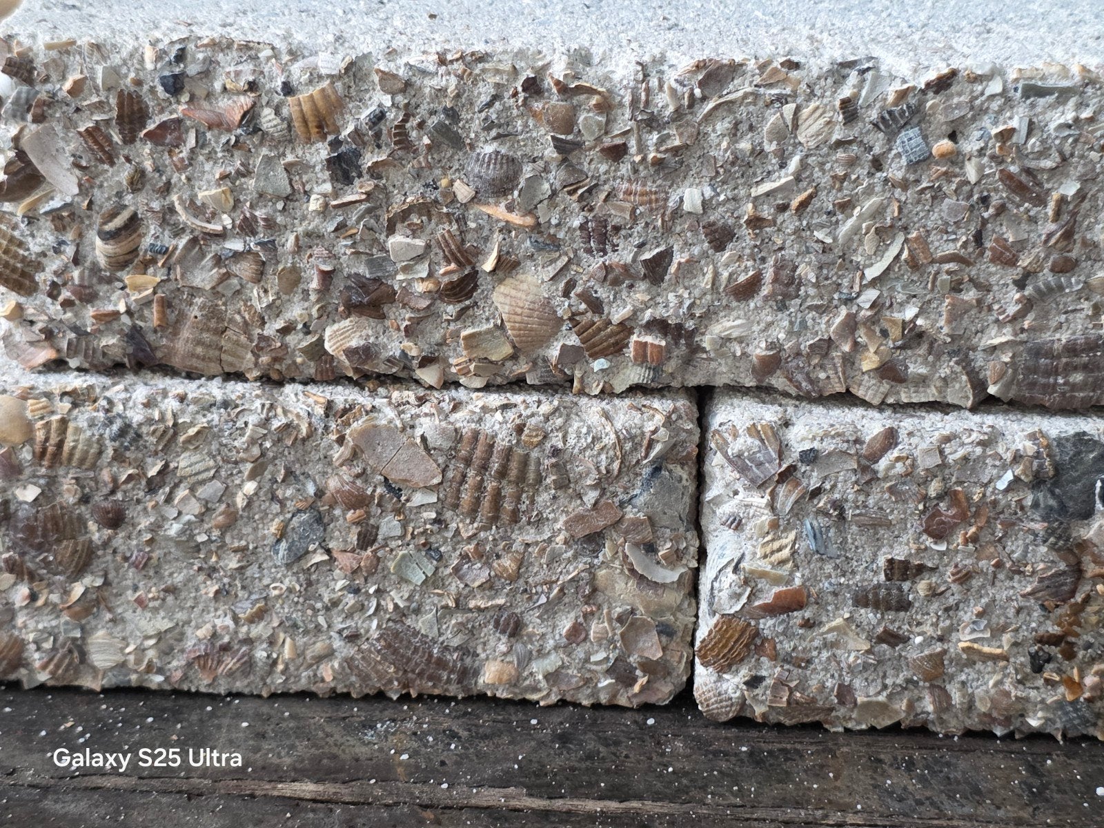 MBI gevelsteen met waddenschelpen., Overige typen, Nieuw, Ophalen of Verzenden, 10 m² of meer