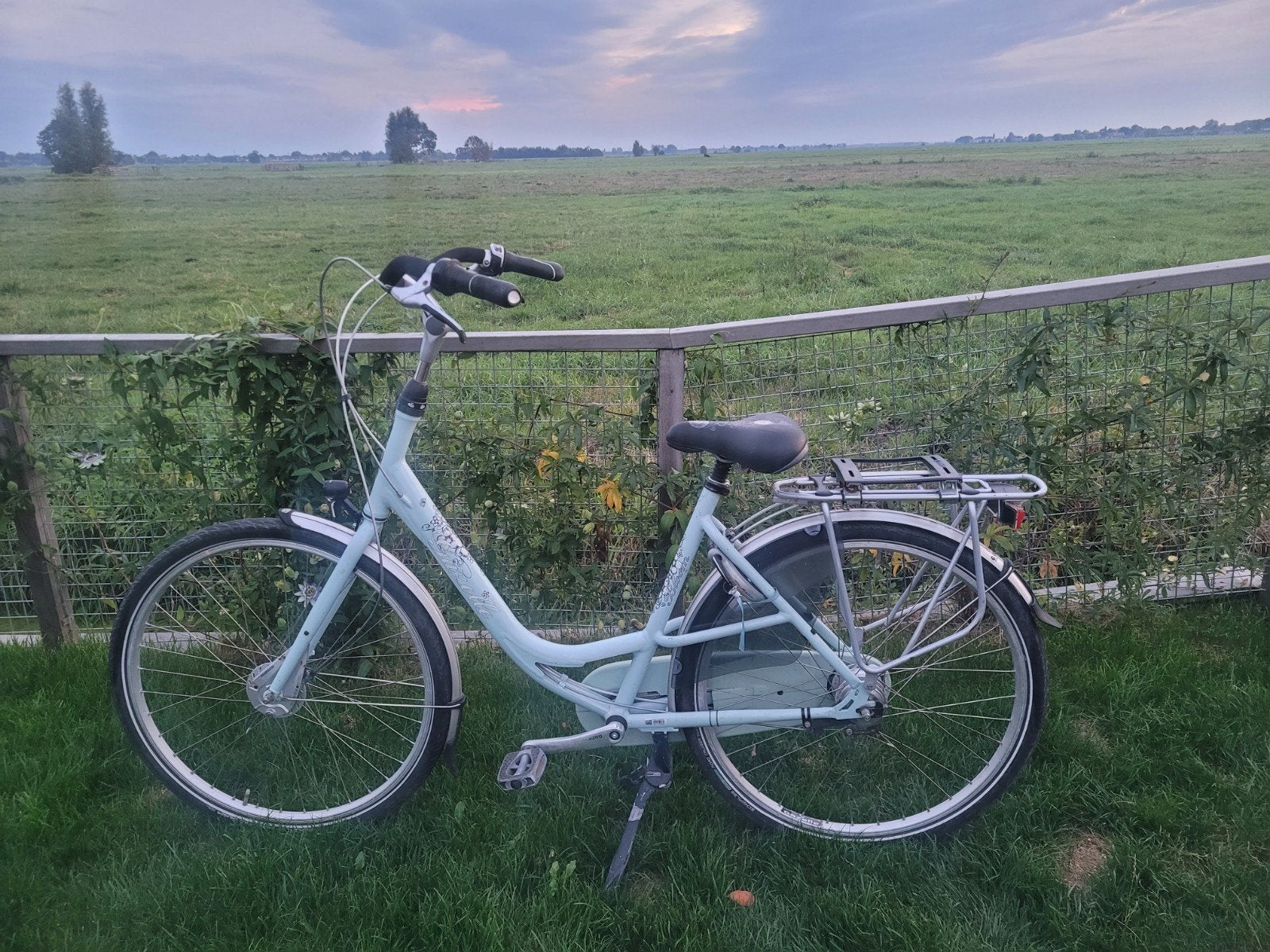 gazelle bloom moederfiets moeder fiets, Fietsen en Brommers, Ophalen, Gebruikt, Gazelle