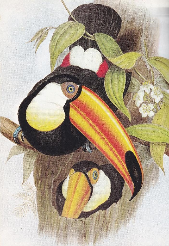 Moorehead, Alan - Darwin en de Beagle (1972), Ophalen of Verzenden, Zo goed als nieuw