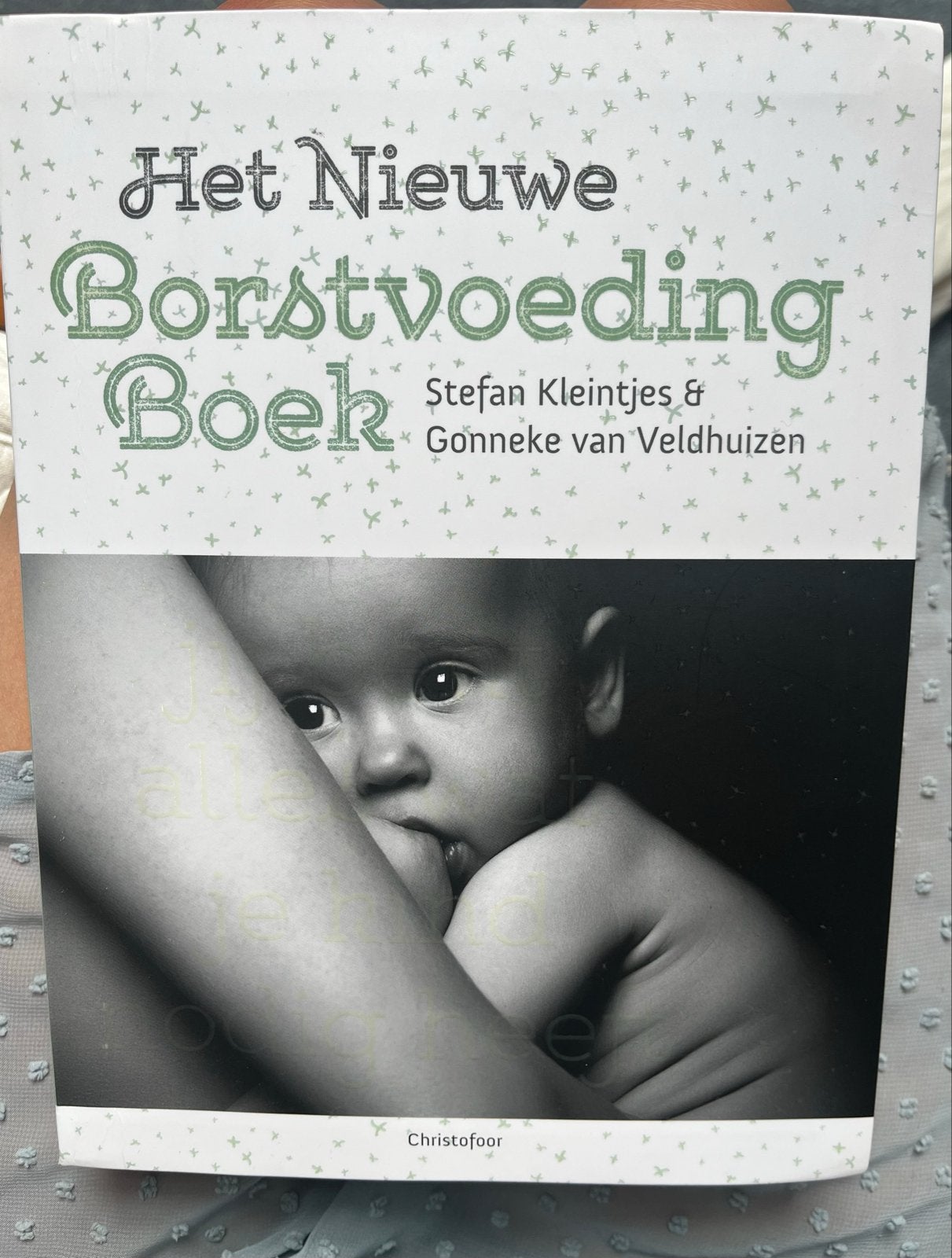 Het Nieuwe Borstvoeding Boek - Stefan Kleintjes & Gonneke, Ophalen of Verzenden, Zo goed als nieuw, Zwangerschap en Bevalling