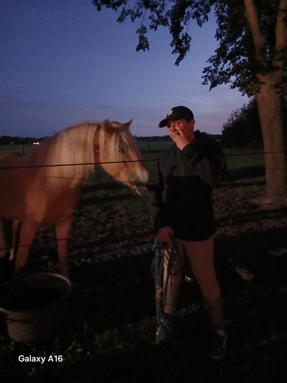 verzorg pony leas is ook mogelijk gezocht!, Ophalen of Verzenden, Nieuw