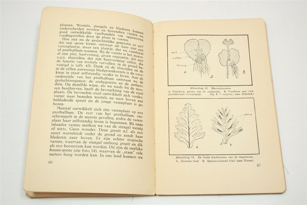 Mossen en Varens — Vintage Natuurgids 1935, Boeken, Ophalen of Verzenden, Gelezen, Vogels
