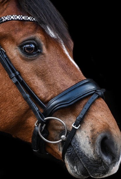 Hoge neusriem, Ophalen of Verzenden, Zo goed als nieuw, Full