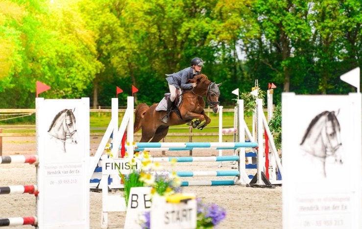 Super fijne springpony, Dieren en Toebehoren, Met stamboom, Ruin, M, Springpony