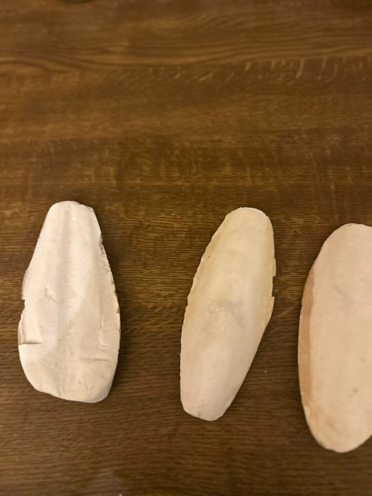 Sepia, natuurlijk calciumbron voor slakken