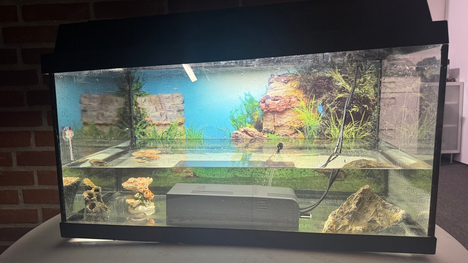 Aquarium, Dieren en Toebehoren, Ophalen of Verzenden, Leeg aquarium