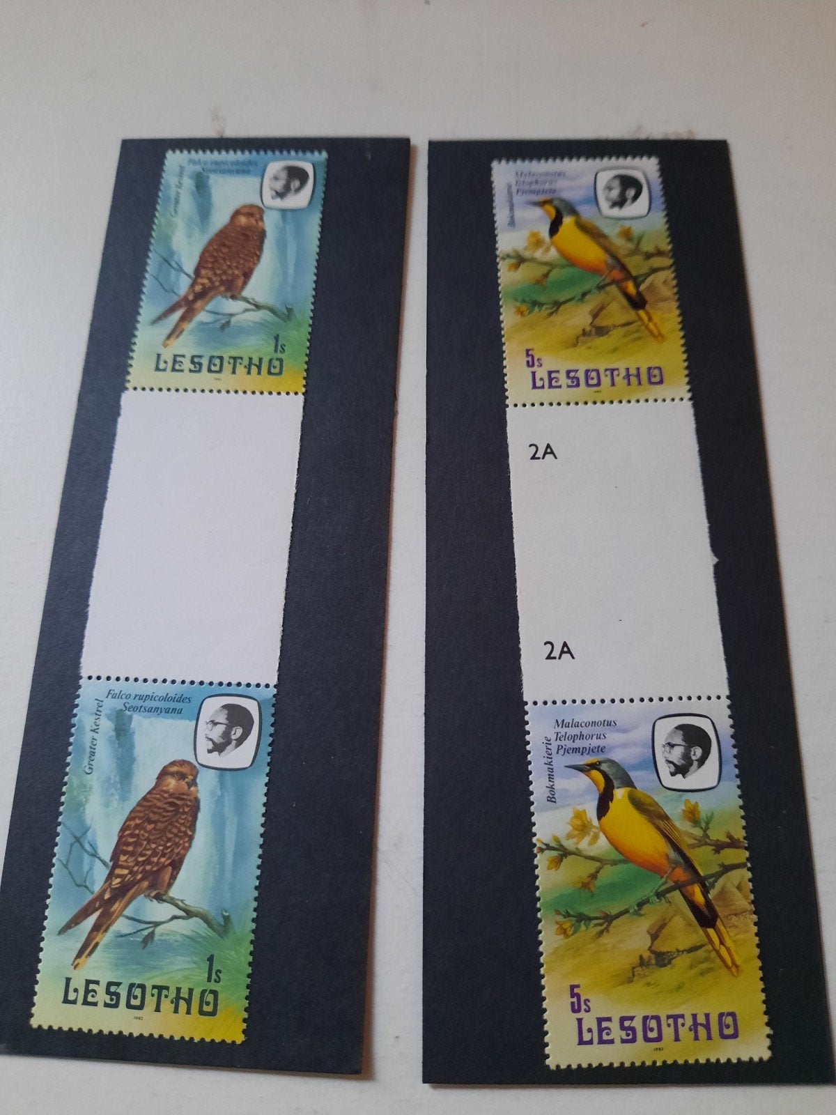 Lesotho postfris tete-beche postzegels met vogels, Verzenden, Postfris, Dier of Natuur