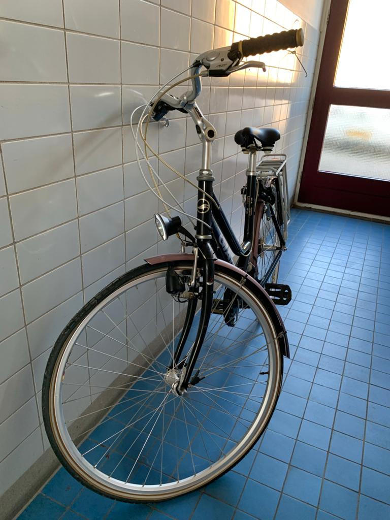 Giant Blazer Comfort Damesfiets - Opknappertje, Fietsen en Brommers, Fietsen | Dames | Damesfietsen, Ophalen, Velgrem, Giant, 53 tot 56 cm