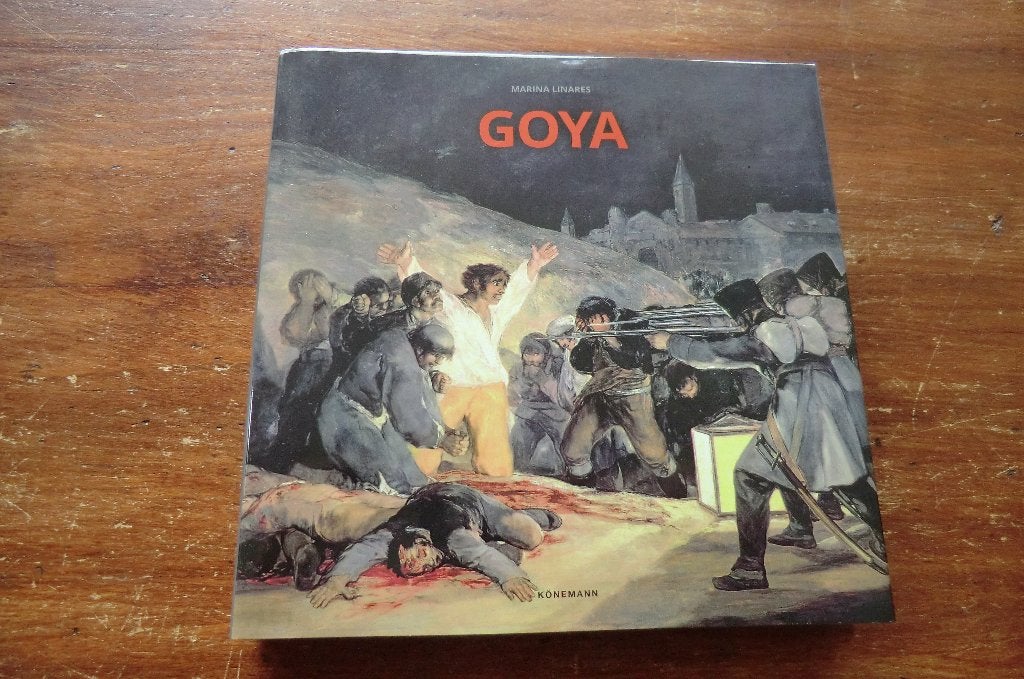 schildersboek - Goya - Marina Linares, Ophalen of Verzenden, Gelezen, Schilder- en Tekenkunst