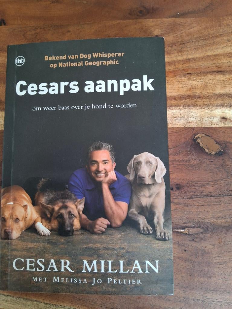 Cesars aanpak boek van Cesar Millan, Boeken, Dieren en Huisdieren, Ophalen, Zo goed als nieuw, Honden, Cesar Millan
