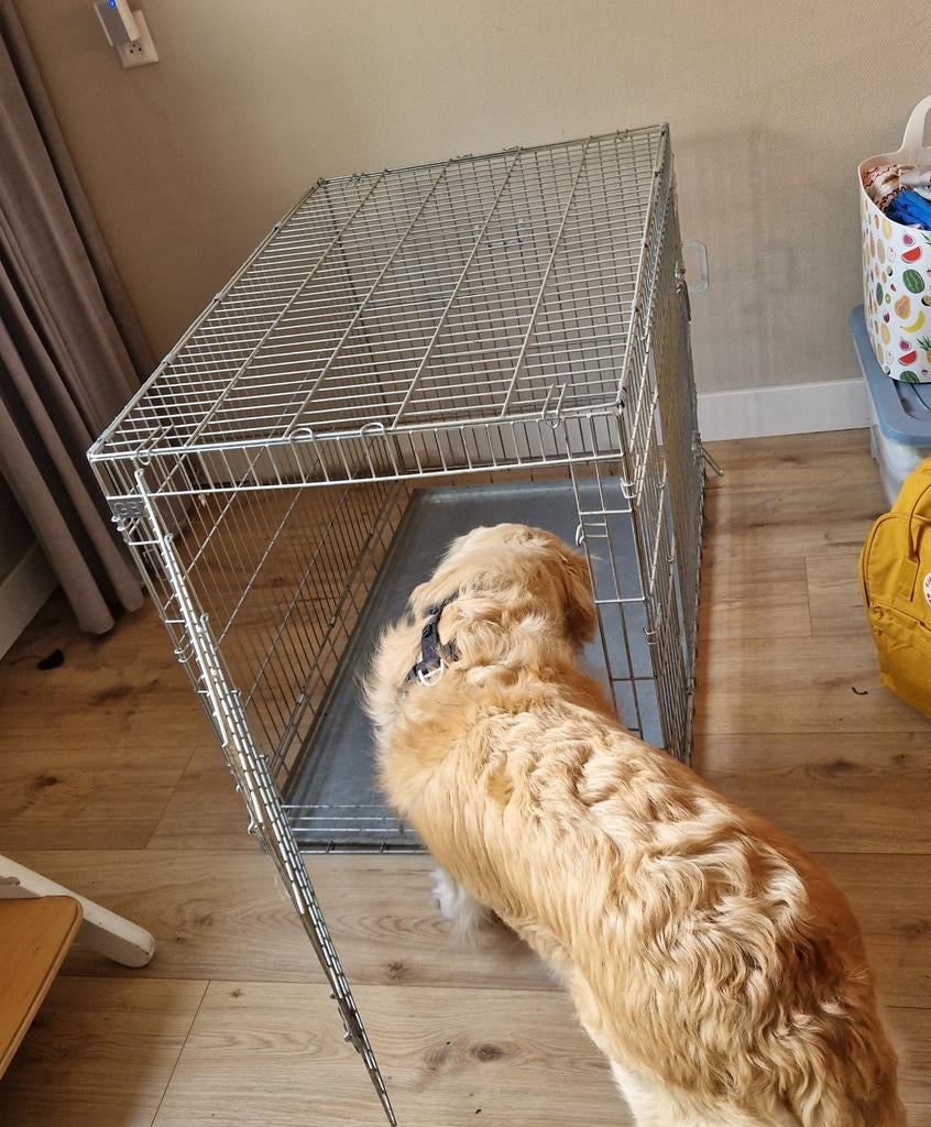 Grote honden bench, Dieren en Toebehoren, Hondenbenches, Zo goed als nieuw, Ophalen