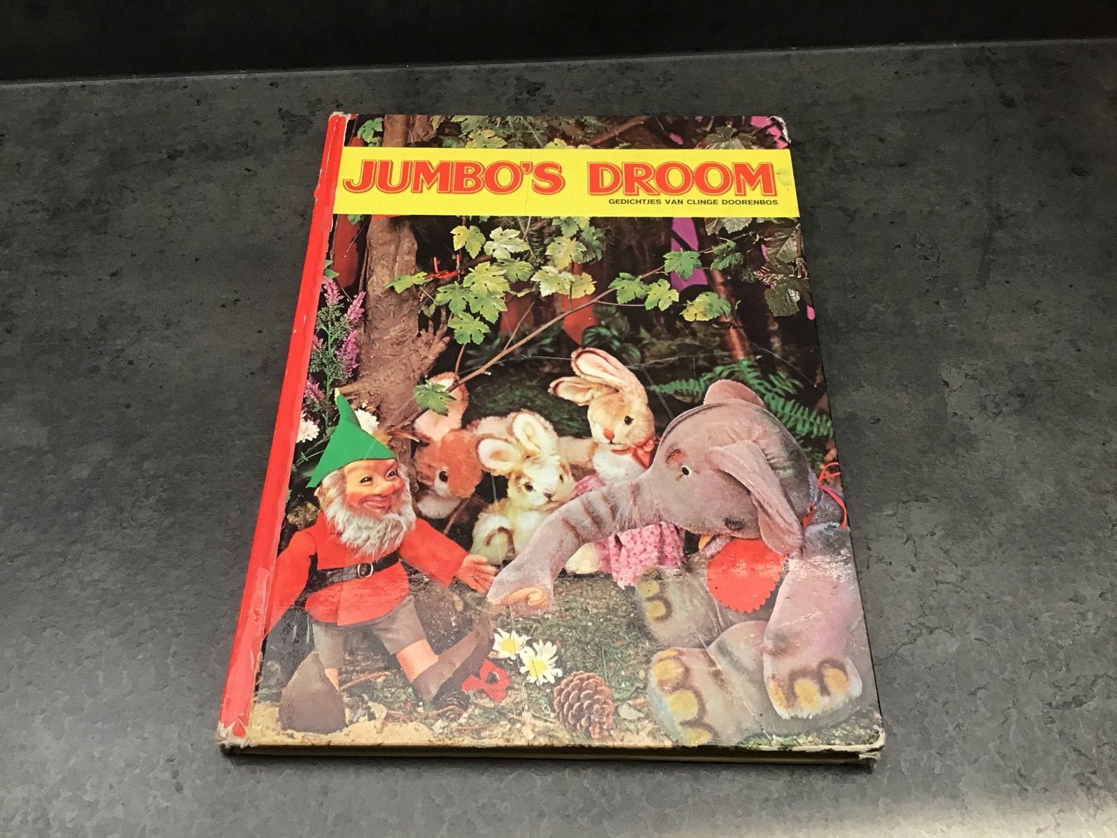 Boek jumbo’s droom, Boeken, Ophalen of Verzenden, Zo goed als nieuw, Non-fictie