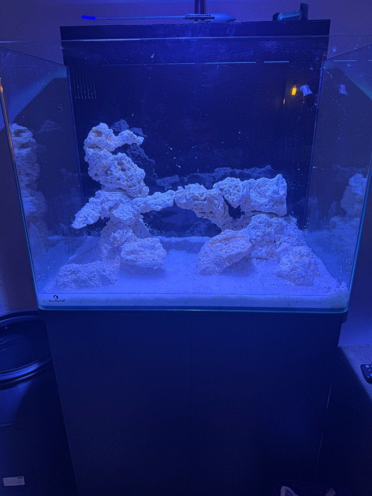 Bluemarine 120, Ophalen