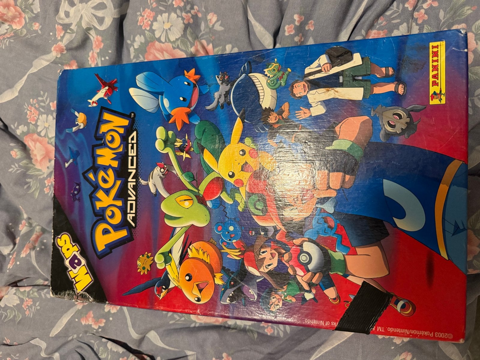 Pokémon Advanced plastic muntjes met map - Panini, Ophalen, Gebruikt, Overige typen