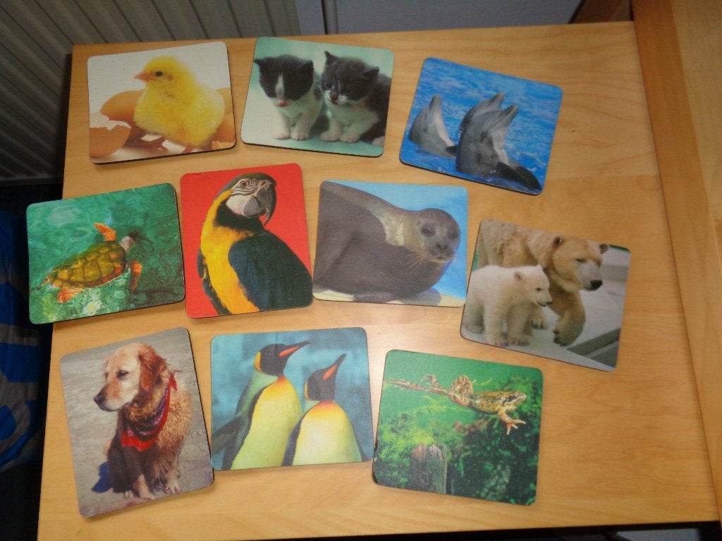 10 onderzetters met dierenplaatjes, Glasonderzetter, Stapelbaar, Meerkleurig, Ophalen of Verzenden