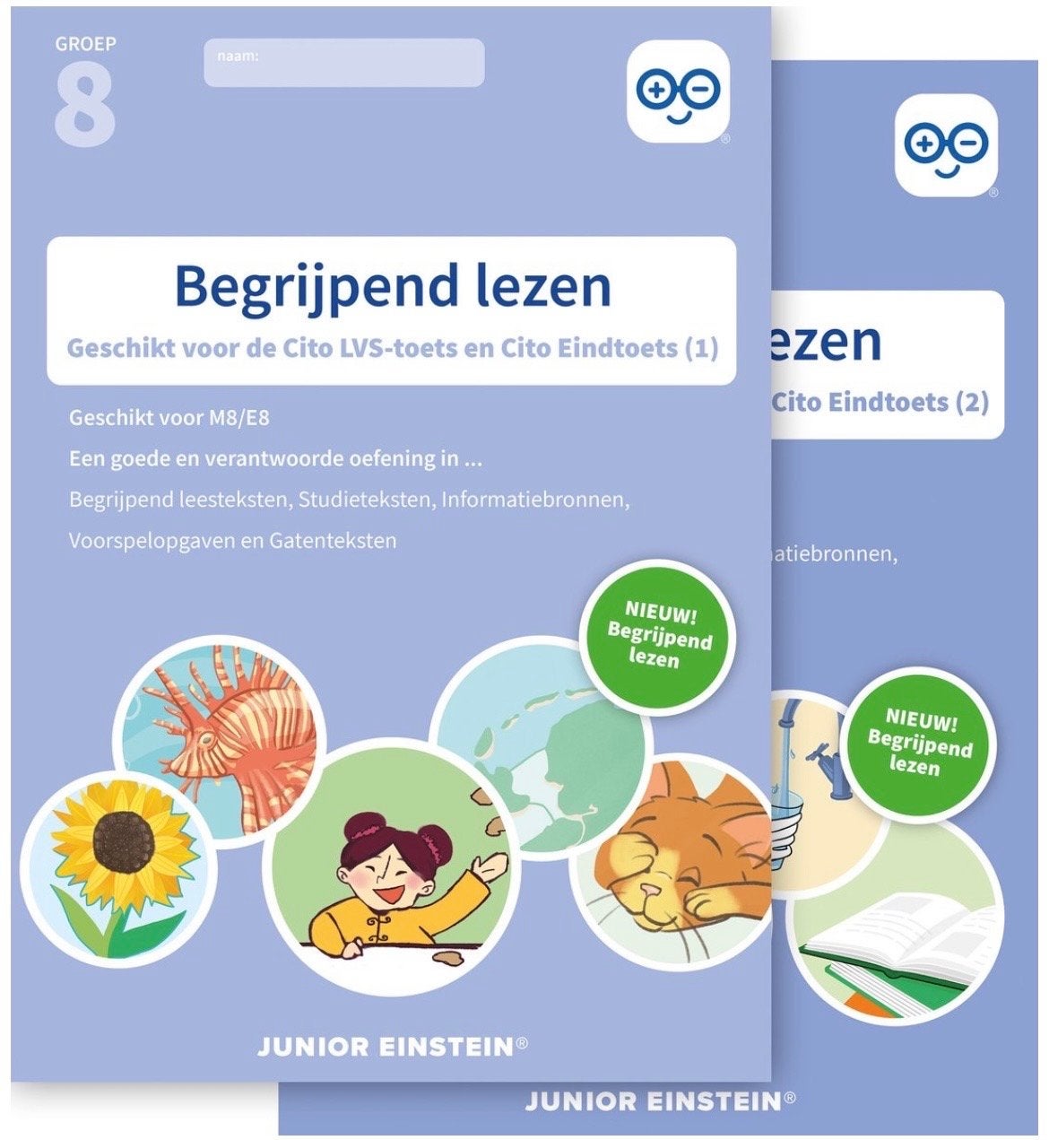 Junior Einstein Begrijpend Lezen Groep 8 Cito Toets, Ophalen, Nieuw, Overige niveaus, Nederlands
