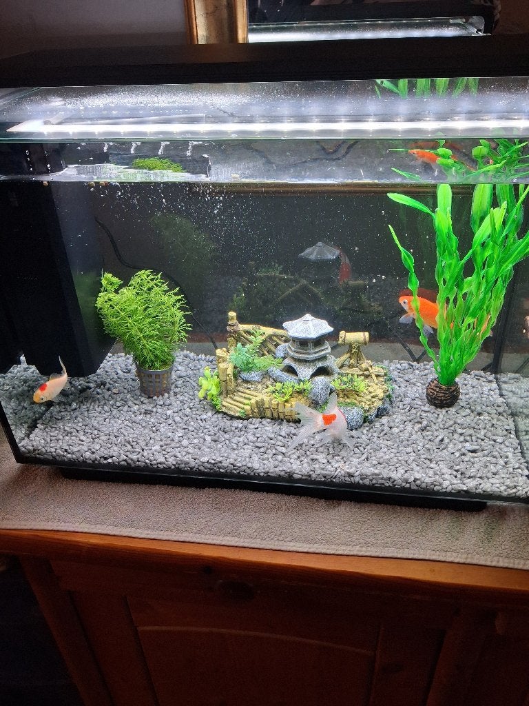 Aquarium te koop, Ophalen, Nieuw, Leeg aquarium, Inclusief deksel