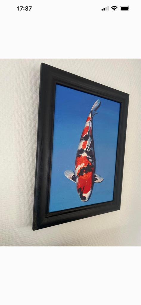 Schilderij Koi Karper - Handgeschilderd Kunstwerk, Ophalen of Verzenden