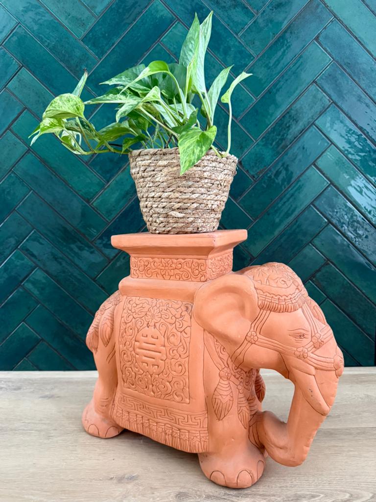 Vintage olifant plantentafel, Ophalen