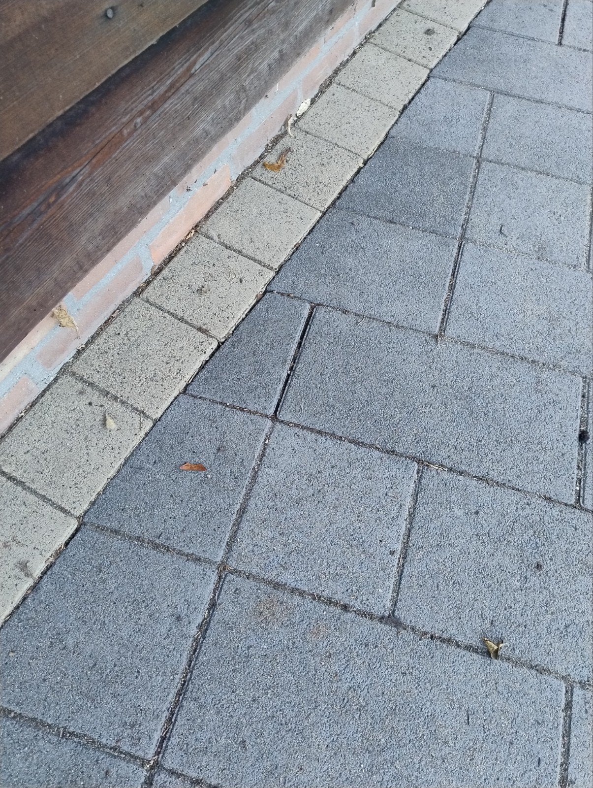 GRATIS - Terrastegels / Tuinklinkers, Tuin en Terras, Ophalen, Gebruikt, 10 m² of meer, Beton