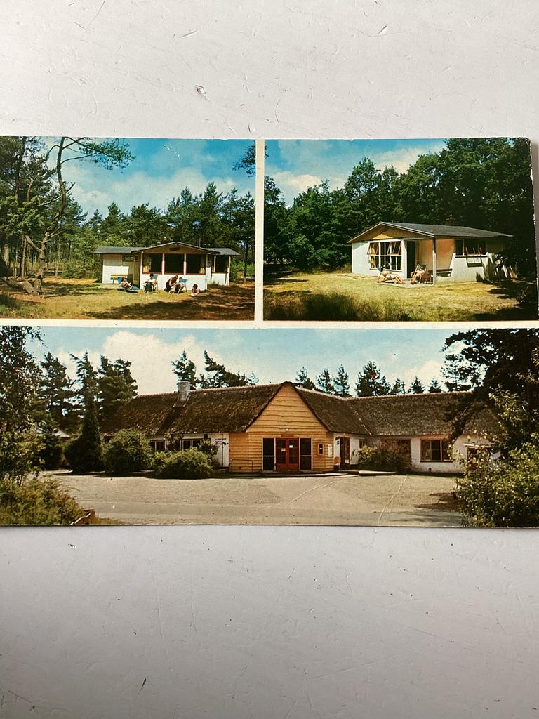 Ansichtkaart Vakantieverblijf Rabbit Hill Nieuw Milligen, Verzenden, 1980 tot heden, Gelopen