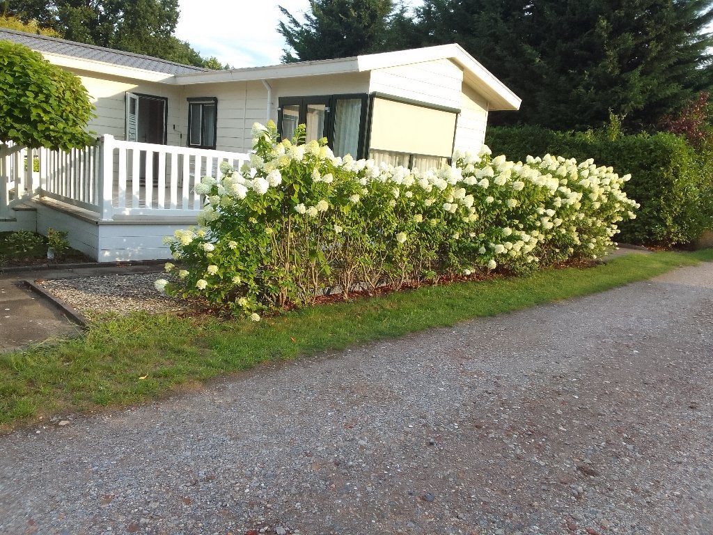 L-Chalet te koop, Hoeven, 55 m², Noord-Brabant, 2 slaapkamers, Chalet