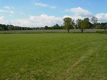 Weiland gezocht, Dieren en Toebehoren, Weidegang, 2 of 3 paarden of pony's