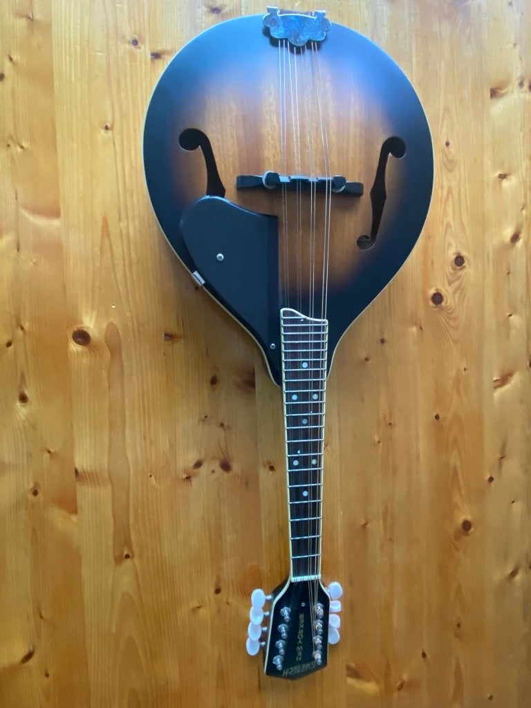 Gretsch G9311 New Yorker Supreme mandoline, Muziek en Instrumenten, Snaarinstrumenten | Mandolines, Ophalen of Verzenden, Zo goed als nieuw