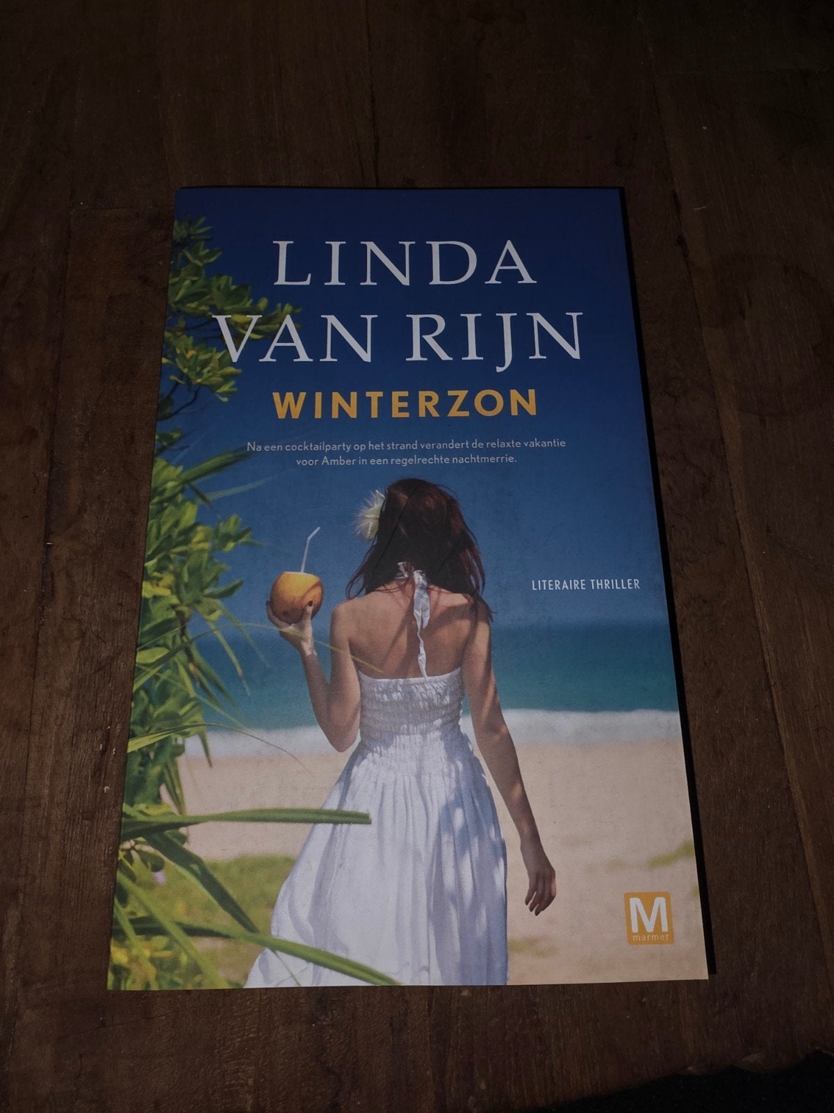 Linda van Rijn - Winterzon (Literaire thriller), Ophalen of Verzenden, Nieuw, Linda van Rijn, Nederland