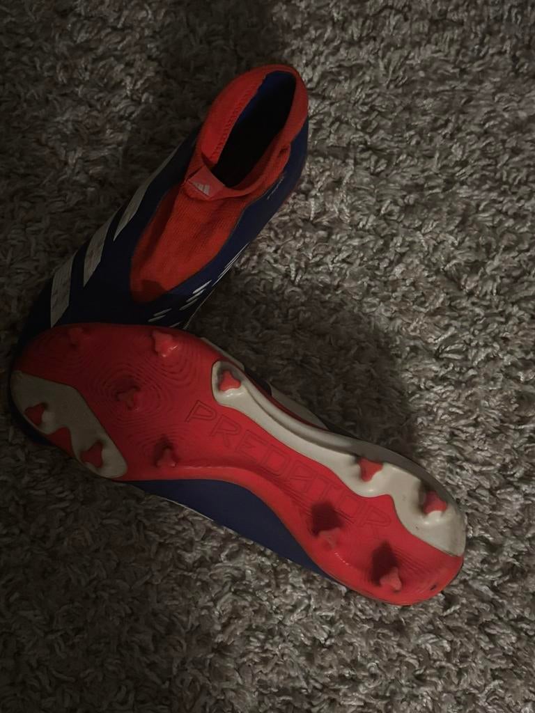 Predators maar 44 2/3, Gebruikt, Schoenen, Maat M, Ophalen of Verzenden