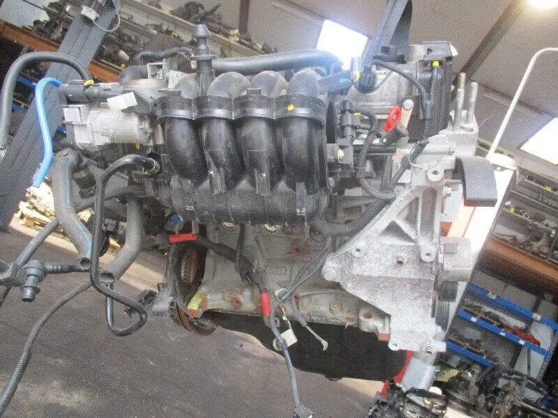 MOTOR Ford Ka II (01-2008/05-2016) (169a4000), Gebruikt, Ophalen of Verzenden, Henry-Ford-Straße 1 50735 Köln, DE, Ford-Werke GmbH