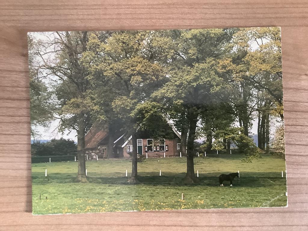 ansichtkaart Tilligte, Ophalen of Verzenden, Gelopen