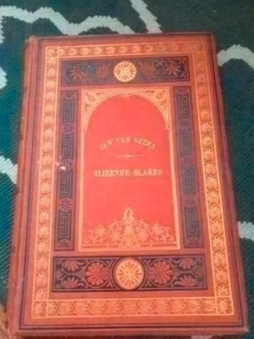 Jan van Beers - Rijzende Blaren (Antiek Boek), Ophalen of Verzenden, Gelezen, Jan van Beers, België