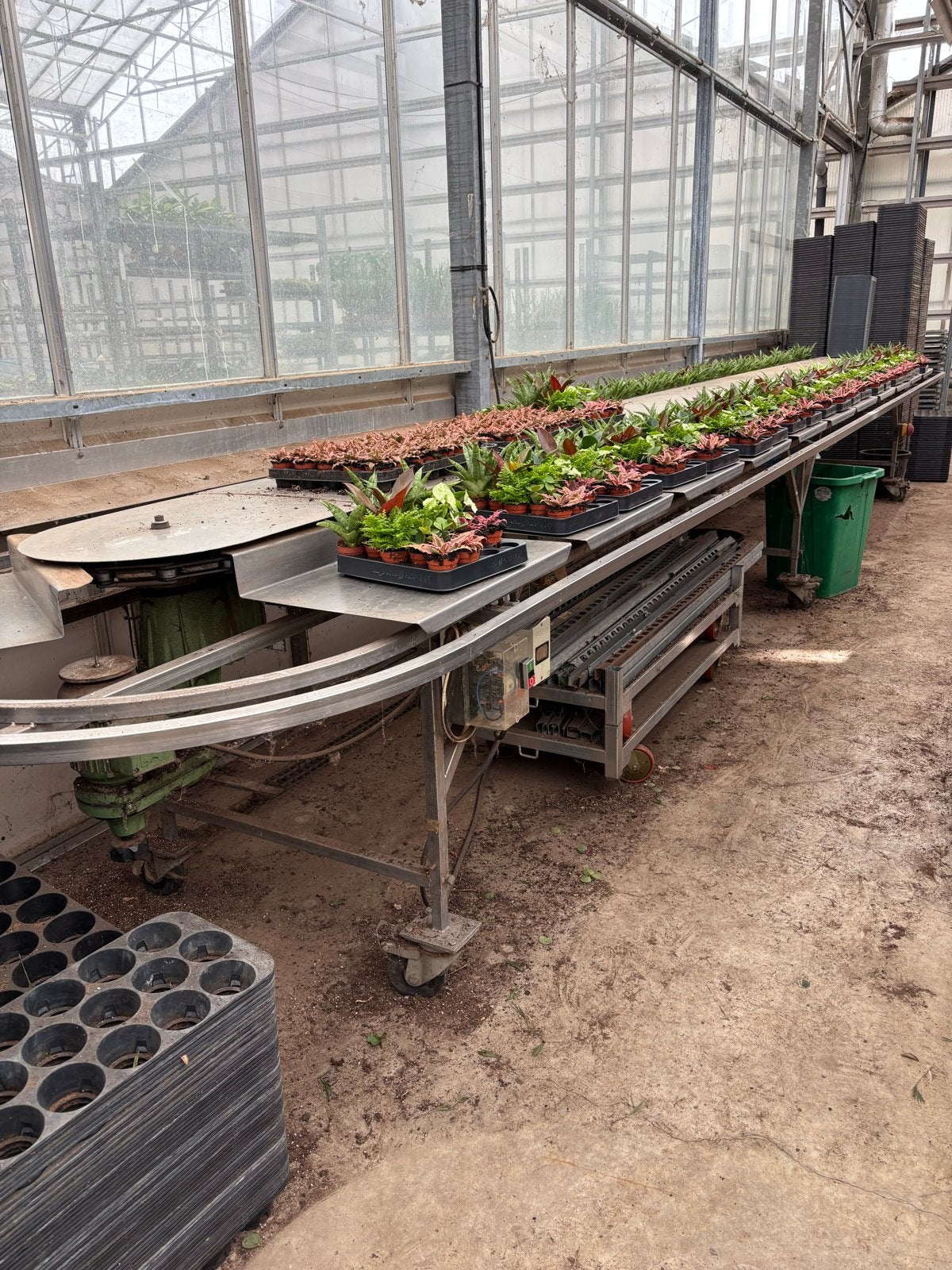 Meng- en transportband voor planten of andere artikelen, Ophalen